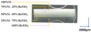 Observation microscopique du FGPM, coupe transversale.